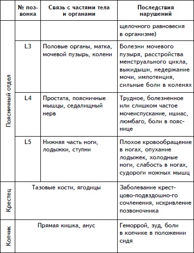 Упражнения для позвоночника. Для тех, кто в пути Упражнения для позвоночника. Для тех, кто в пути