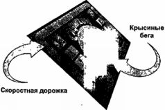 Отойти от дел молодым и богатым Отойти от дел молодым и богатым