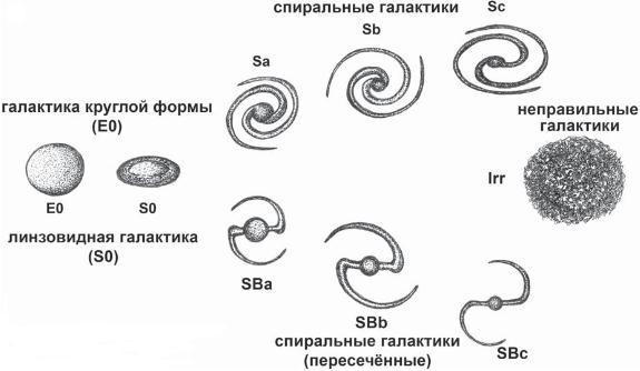 Остеохондроз для профессионального пациента Остеохондроз для профессионального пациента