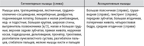Массаж и лечебная физкультура Массаж и лечебная физкультура