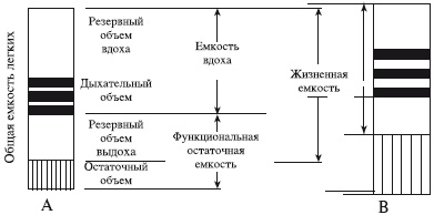 Массаж и лечебная физкультура Массаж и лечебная физкультура