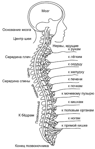 Зрение на 100%. Фитнес и диета для глаз Зрение на 100%. Фитнес и диета для глаз