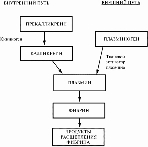Заболевания крови. Полный справочник Заболевания крови. Полный справочник