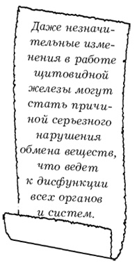 Щитовидная железа. Лучшие рецепты народной медицины от А до Я Щитовидная железа. Лучшие рецепты народной медицины от А до Я