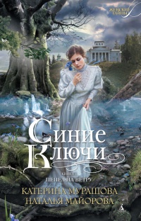 Синие ключи. Книга 1. Пепел на ветру - Екатерина Мурашова