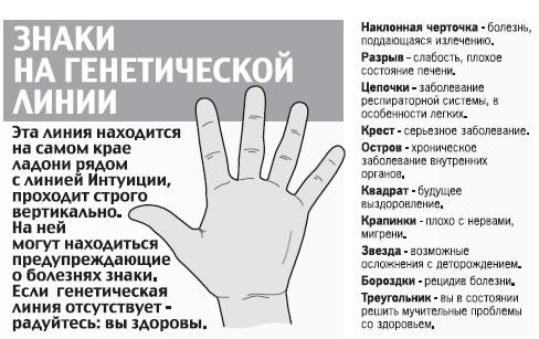 Курс начинающего лжеца от А до Я Курс начинающего лжеца от А до Я