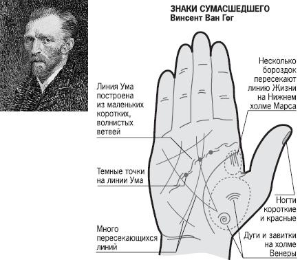 Курс начинающего лжеца от А до Я Курс начинающего лжеца от А до Я