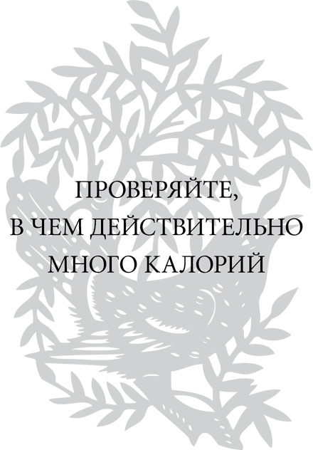 Правила снижения веса. Как худеть, не чувствуя себя несчастным Правила снижения веса. Как худеть, не чувствуя себя несчастным
