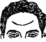 Мужские хитрости и женские уловки. Лучший справочник по распознаванию лжи! Книга-тренажер Мужские хитрости и женские уловки. Лучший справочник по распознаванию лжи! Книга-тренажер