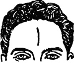 Мужские хитрости и женские уловки. Лучший справочник по распознаванию лжи! Книга-тренажер Мужские хитрости и женские уловки. Лучший справочник по распознаванию лжи! Книга-тренажер
