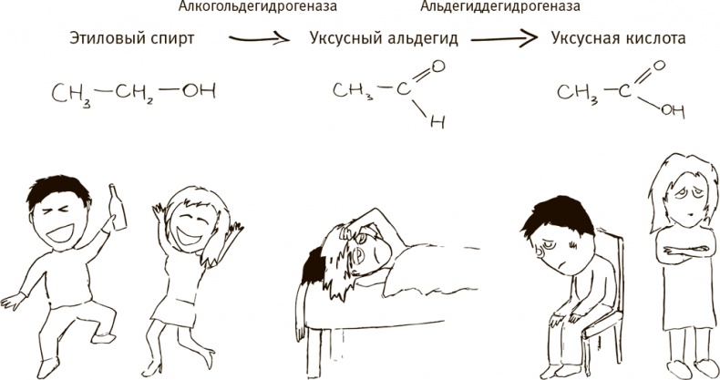 Кто бы мог подумать! Как мозг заставляет нас делать глупости Кто бы мог подумать! Как мозг заставляет нас делать глупости