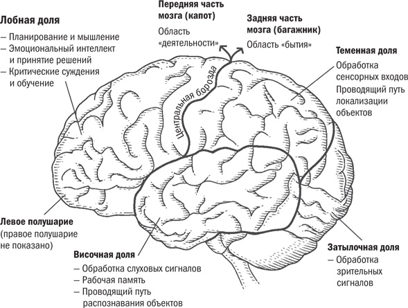 Мой ребенок - интроверт. Как выявить скрытые таланты и подготовить к жизни в обществе Мой ребенок - интроверт. Как выявить скрытые таланты и подготовить к жизни в обществе