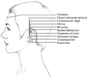 Йога и сексуальные практики Йога и сексуальные практики