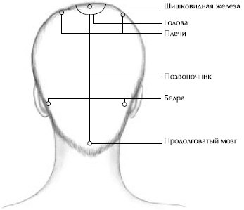 Йога и сексуальные практики Йога и сексуальные практики