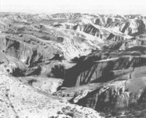 Коллапс Коллапс