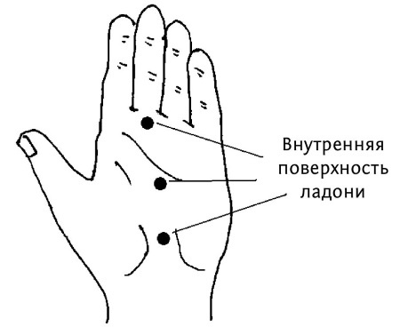 Большой атлас целительных точек. 200 упражнений для здоровья и долголетия Большой атлас целительных точек. 200 упражнений для здоровья и долголетия