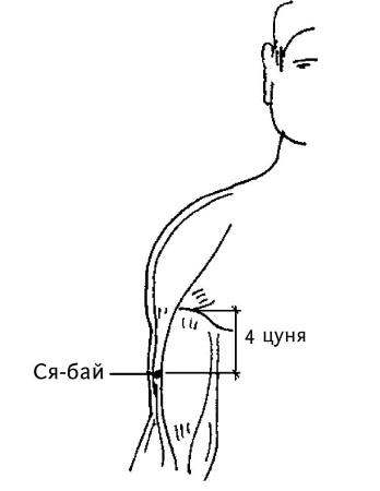 Большой атлас целительных точек. 200 упражнений для здоровья и долголетия Большой атлас целительных точек. 200 упражнений для здоровья и долголетия