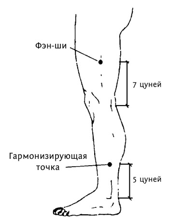 Большой атлас целительных точек. 200 упражнений для здоровья и долголетия Большой атлас целительных точек. 200 упражнений для здоровья и долголетия