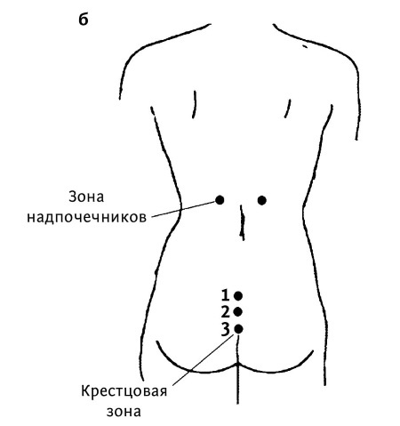 Большой атлас целительных точек. 200 упражнений для здоровья и долголетия Большой атлас целительных точек. 200 упражнений для здоровья и долголетия
