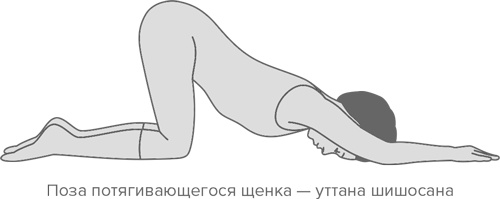 Человек уставший. Как победить хроническую усталость и вернуть себе силы, энергию и радость жизни Человек уставший. Как победить хроническую усталость и вернуть себе силы, энергию и радость жизни