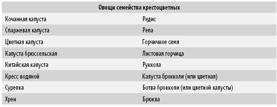 Покончим с диетами. Оптимальный вес за две недели на всю жизнь Покончим с диетами. Оптимальный вес за две недели на всю жизнь