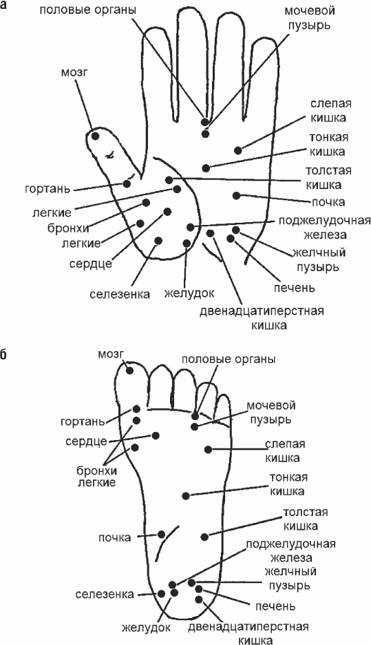 Избавиться от боли за 30 секунд! Секретные точки здоровья. Тайны древнего Китая Избавиться от боли за 30 секунд! Секретные точки здоровья. Тайны древнего Китая