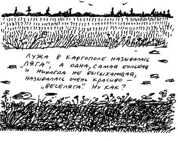 Заметки пассажира. 24 вагона с комментариями и рисунками автора Заметки пассажира. 24 вагона с комментариями и рисунками автора