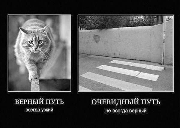Сила рода - тайна женщины. Сакральные знания для счастливой судьбы Сила рода - тайна женщины. Сакральные знания для счастливой судьбы