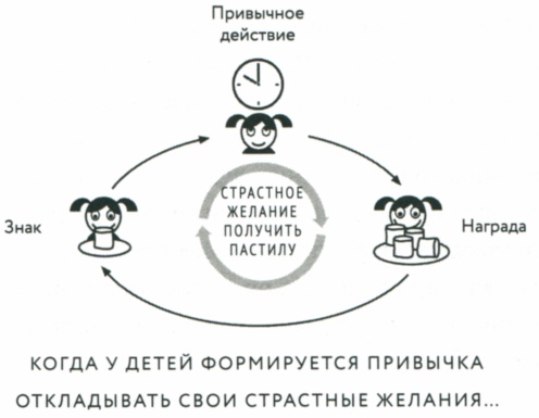 Сила привычки. Почему мы живем и работаем именно так, а не иначе Сила привычки. Почему мы живем и работаем именно так, а не иначе