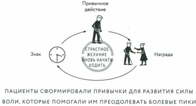 Сила привычки. Почему мы живем и работаем именно так, а не иначе Сила привычки. Почему мы живем и работаем именно так, а не иначе