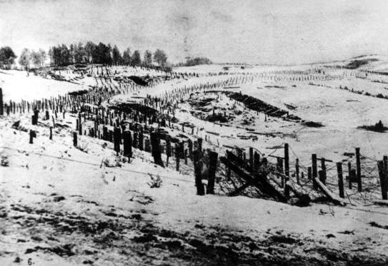 Полководцы Первой Мировой. Русская армия в лицах Полководцы Первой Мировой. Русская армия в лицах