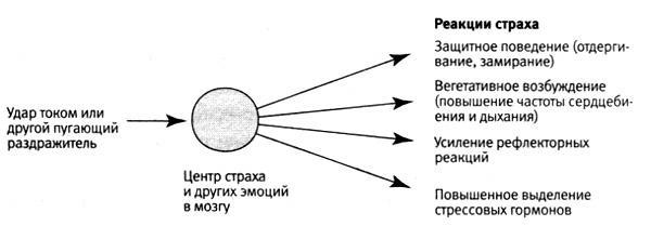 В поисках памяти В поисках памяти