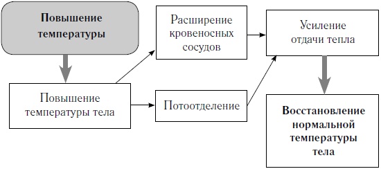 Как оставаться молодым и жить долго Как оставаться молодым и жить долго