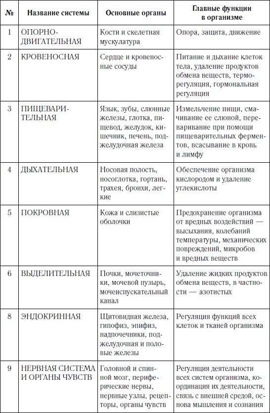 Как оставаться молодым и жить долго Как оставаться молодым и жить долго