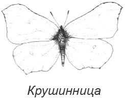 Походная книга Муми-тролля Походная книга Муми-тролля