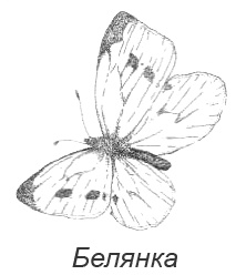 Походная книга Муми-тролля Походная книга Муми-тролля