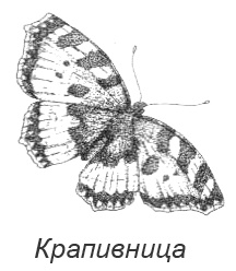 Походная книга Муми-тролля Походная книга Муми-тролля