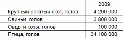 Русские землепроходцы - слава и гордость Руси Русские землепроходцы - слава и гордость Руси