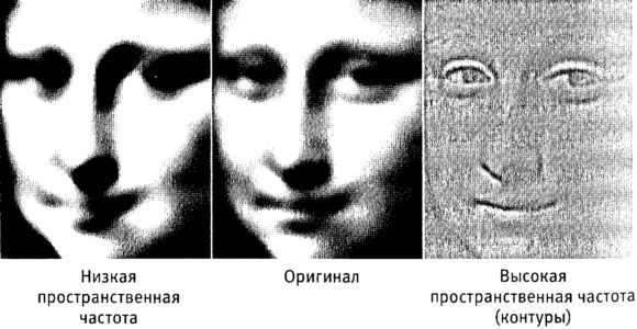 Мозг и душа. Как нервная деятельность формирует наш внутренний мир