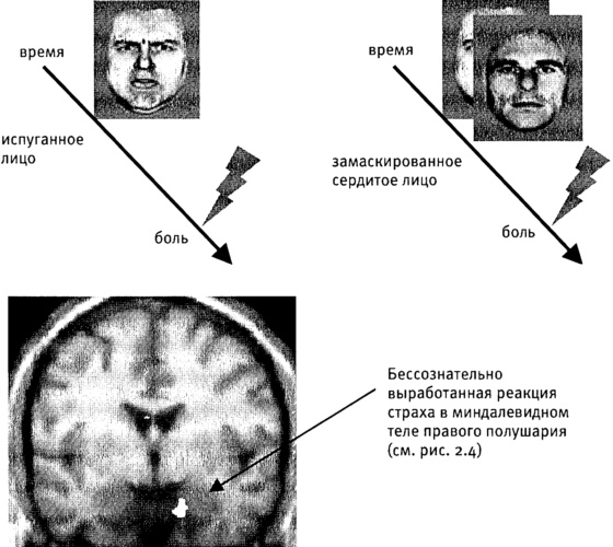 Мозг и душа. Как нервная деятельность формирует наш внутренний мир