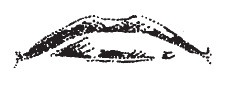 Лицо - зеркало души. Физиогномика для всех Лицо - зеркало души. Физиогномика для всех