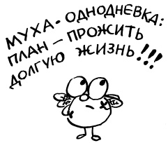 Простая правильная жизнь Простая правильная жизнь