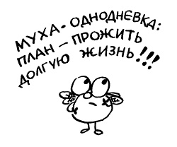 Начнем сначала, или Как разглядеть свое Завтра Начнем сначала, или Как разглядеть свое Завтра