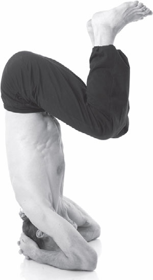 Острое зрение – острый ум! Уникальные восточные методики улучшения зрения и развития мозга Острое зрение – острый ум! Уникальные восточные методики улучшения зрения и развития мозга