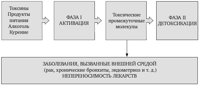 Не хочу стареть! Энциклопедия методов антивозрастной медицины Не хочу стареть! Энциклопедия методов антивозрастной медицины