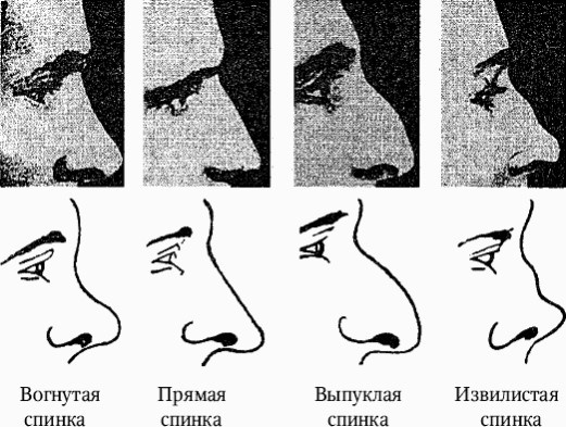 Как распознать преступника Как распознать преступника