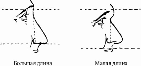 Как распознать преступника Как распознать преступника