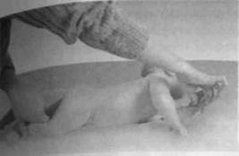 Infantia. Учебник первого года. Игры и упражнения для самых маленьких Infantia. Учебник первого года. Игры и упражнения для самых маленьких