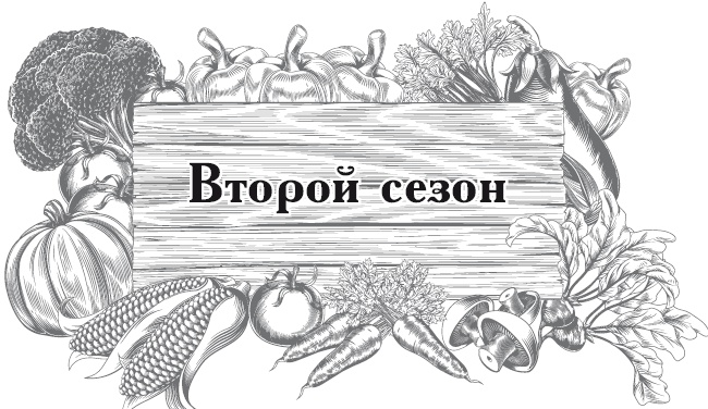 Большой урожай на маленьких грядках. Все секреты повышения урожайности Большой урожай на маленьких грядках. Все секреты повышения урожайности