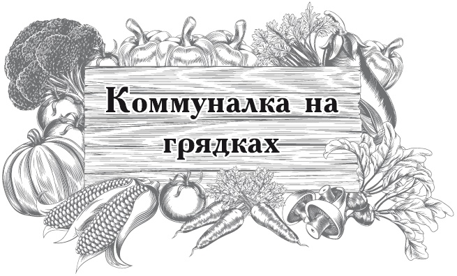 Большой урожай на маленьких грядках. Все секреты повышения урожайности Большой урожай на маленьких грядках. Все секреты повышения урожайности